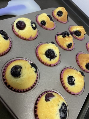 法式蓝莓橙子蛋糕的食材替换建议