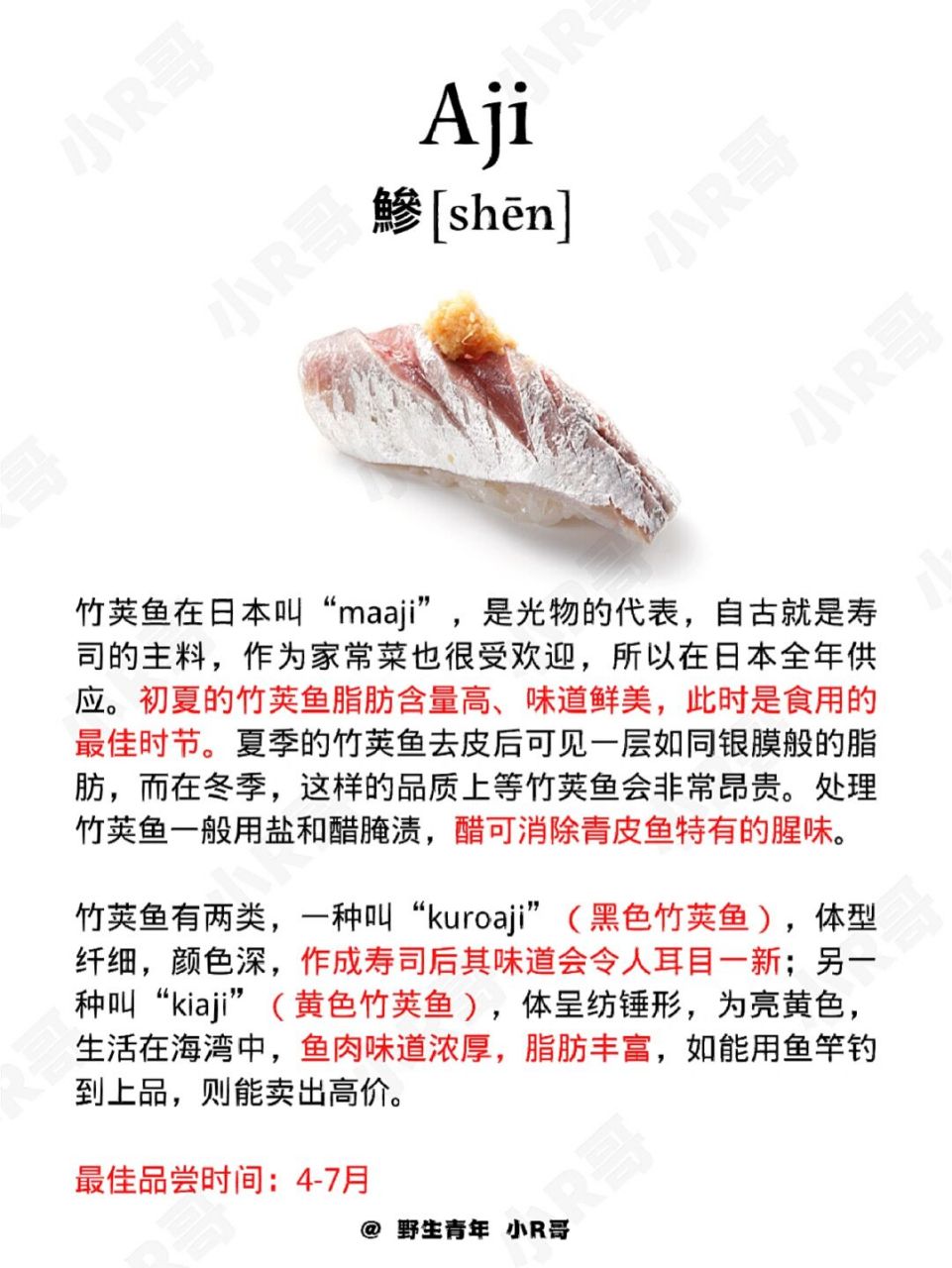 如何培养对寿司的品味